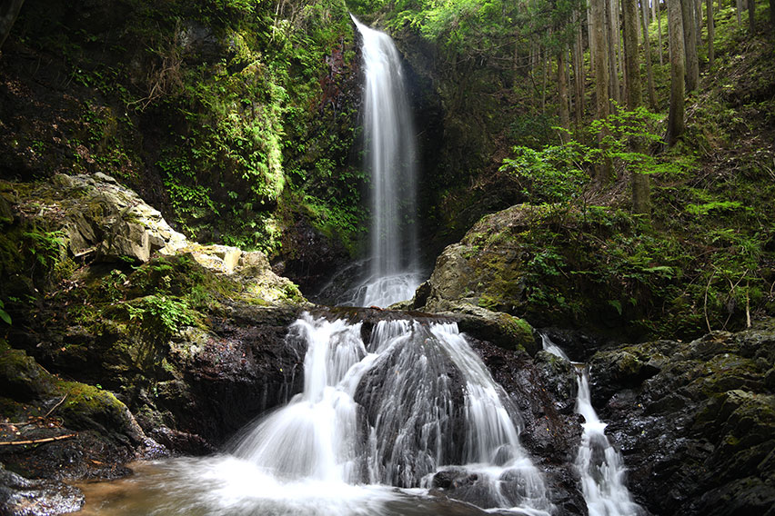 Tamagawakyo Nyunotaki