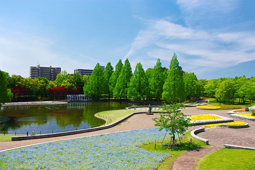 Nanakita Park