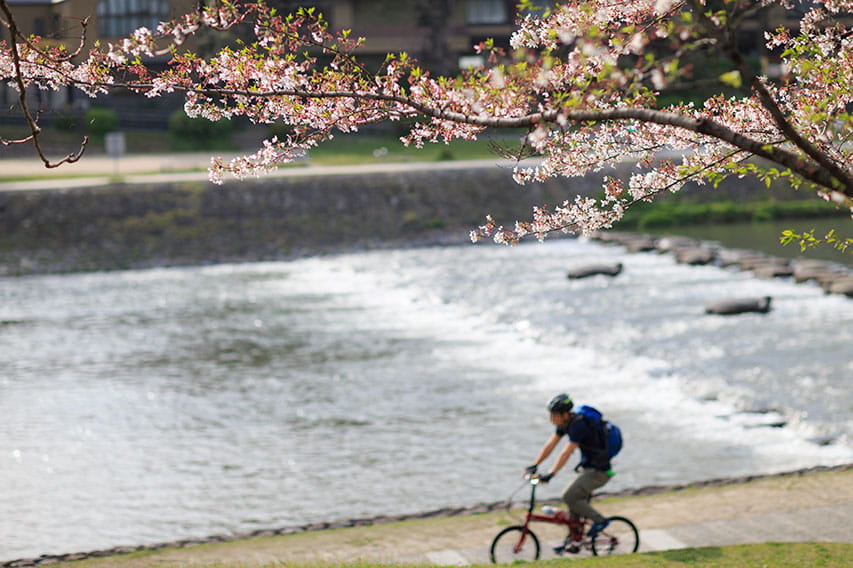 Kamo River (Kyoto)