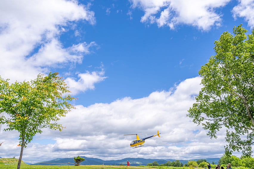 Helicopter scenic flight