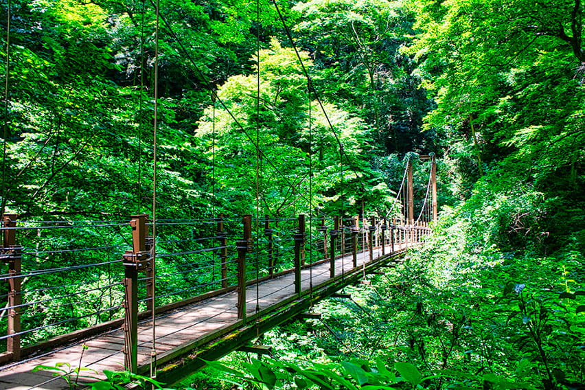 Mount Takao (Tokyo)
