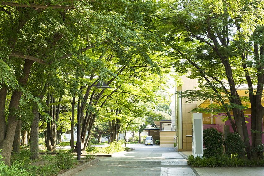 Tokyo: Ueno Royal Museum