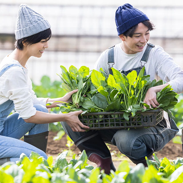 Seasonal Farming Experience