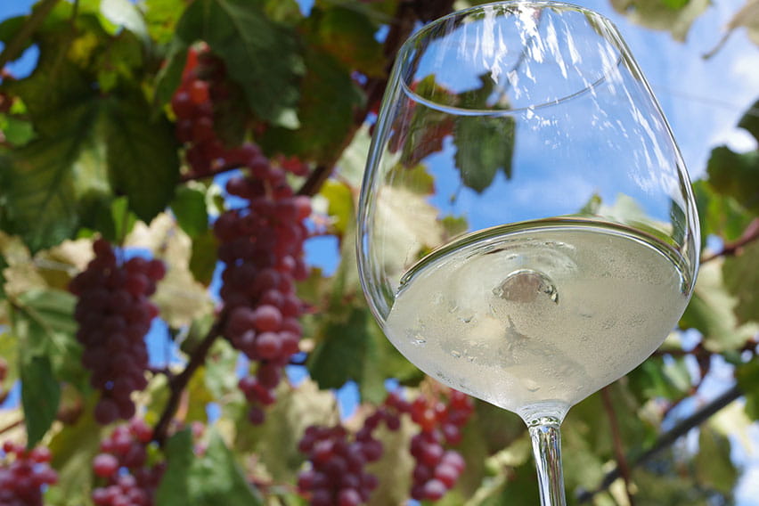 甲州ワイン（山梨）