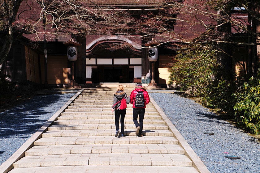 Journey through the heart and history