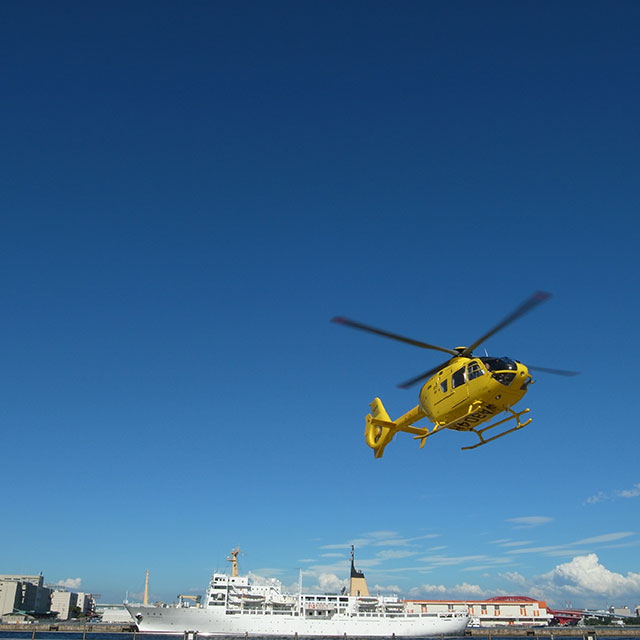 Helicopter Scenic Flight