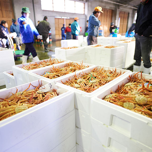 Market Visit & Street Food Tour