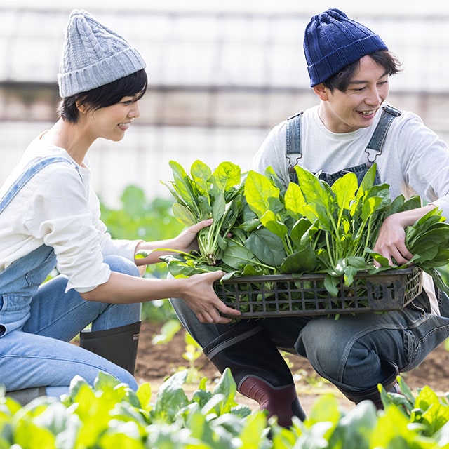 Seasonal Farming Experience