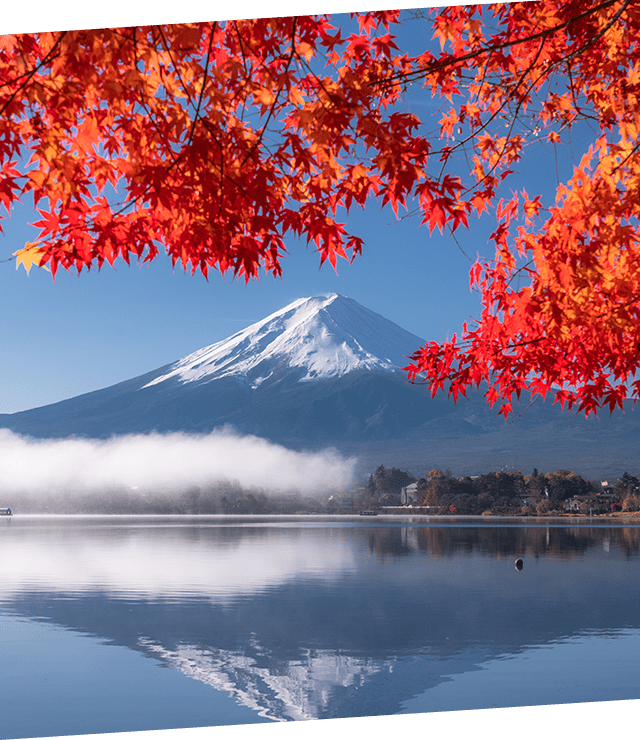 Mt.Fuji