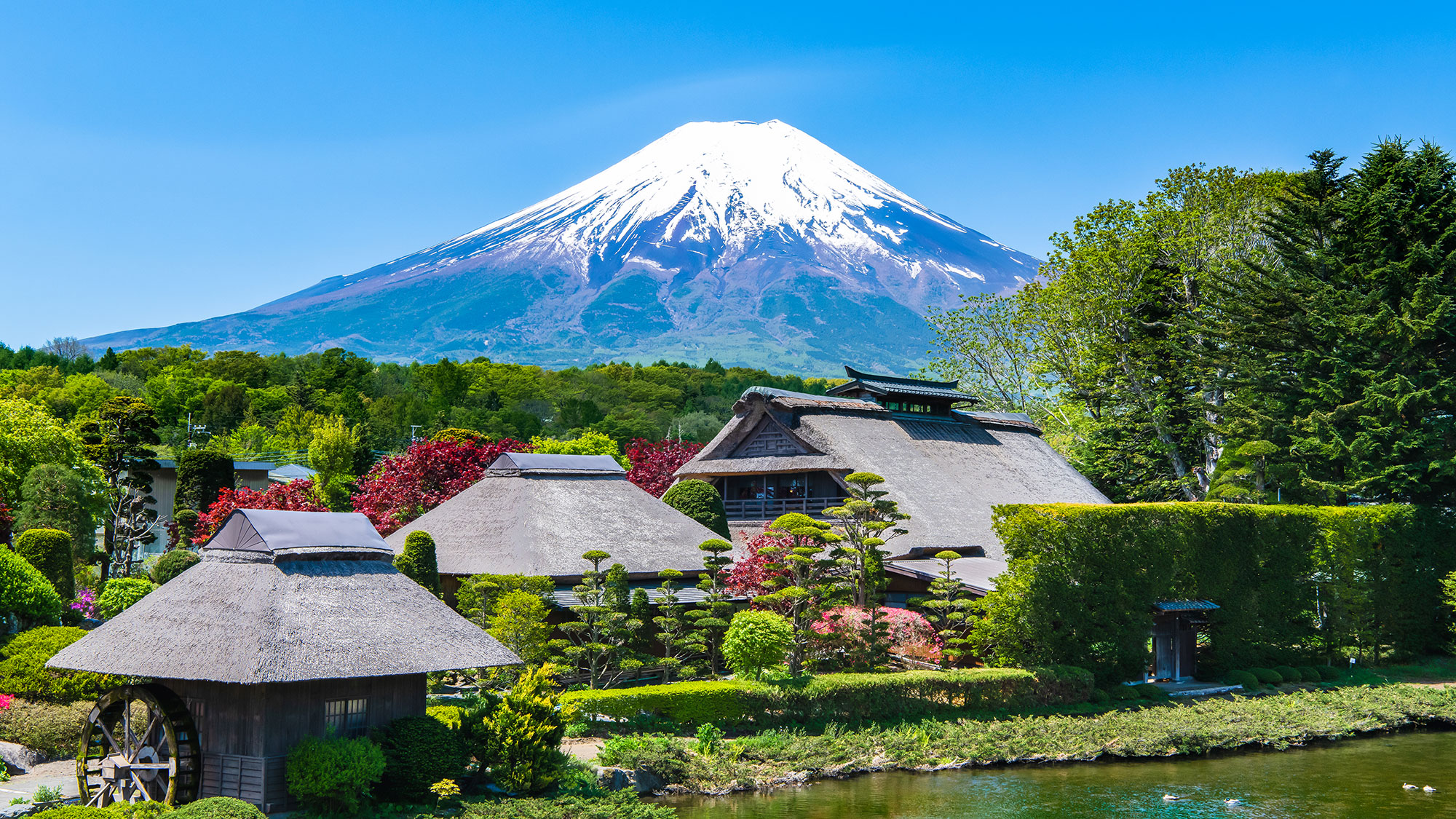 【Discover Japan】From Iconic Landmarks to Hidden Regional Treasures (12 Days / 11 Nights)