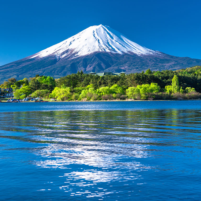 Mt. Fuji Area Sightseeing