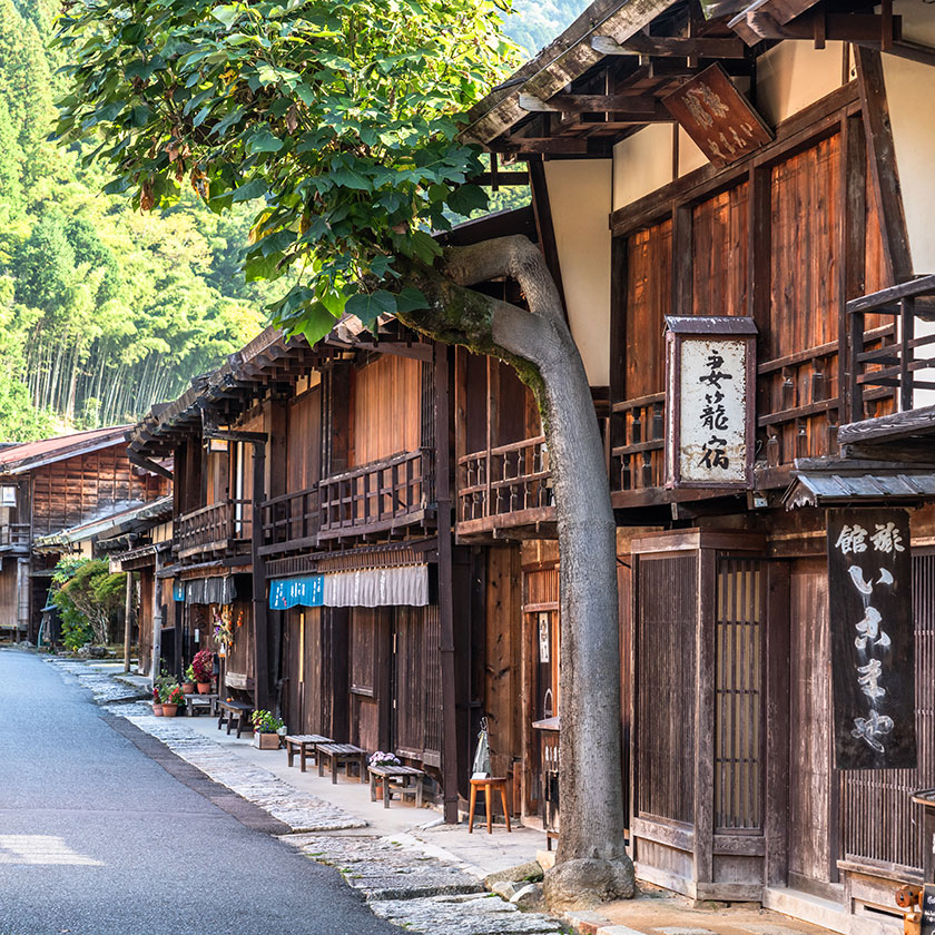 Kiso Valley →<br>
Kyoto Sightseeing