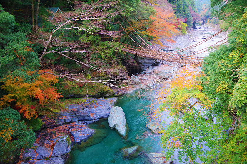 Tokushima →<br>
Wakimachi (1 h 30 min);<br>
Wakimachi →<br>
Iya Valley (1 h30min)