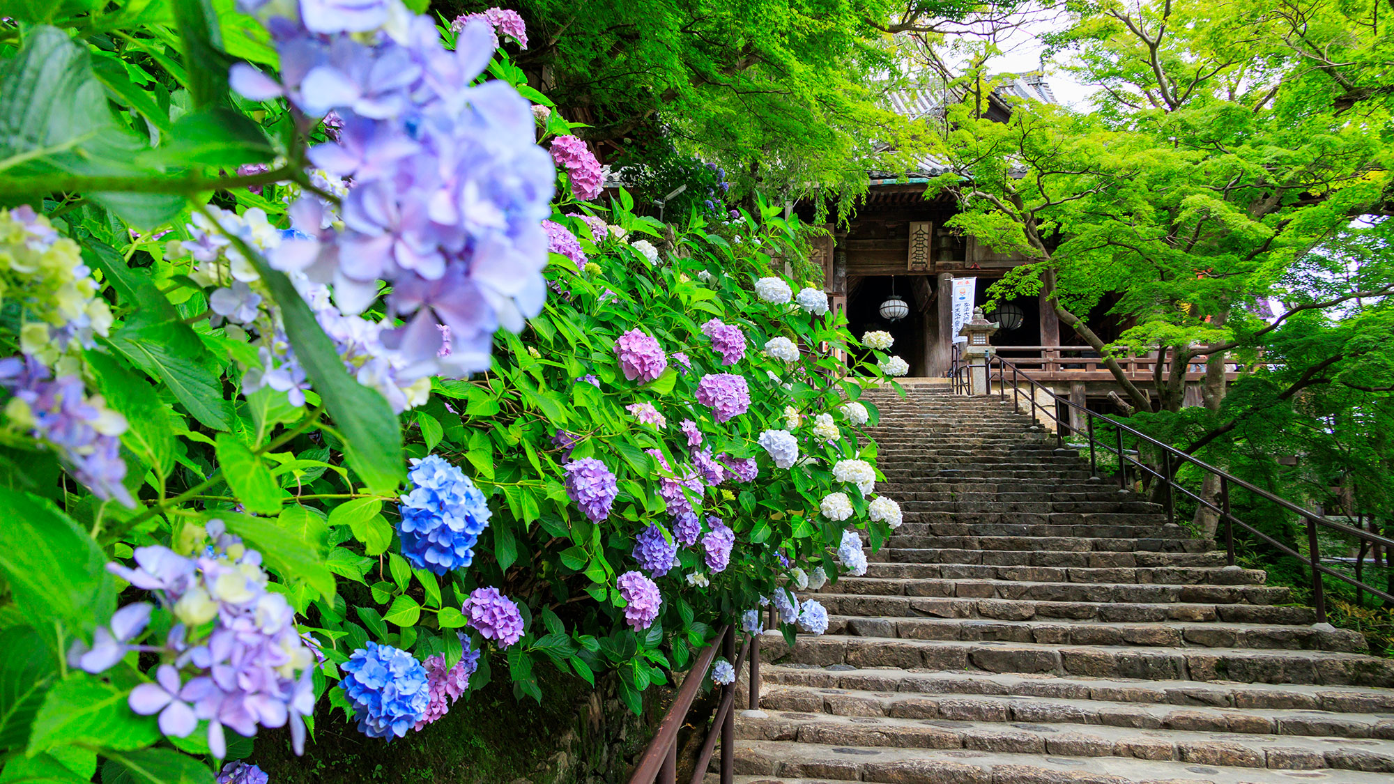【Japan Alps & Heritage Towns】Discover Japan’s Essence（13 Days / 12 Nights）