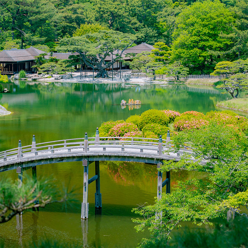 Iya Valley →<br>
Kotohira<br>
(Private car -1 h 40 min);<br>
Kotohira →<br>
Takamatsu<br>
(Private car ~40 min)
