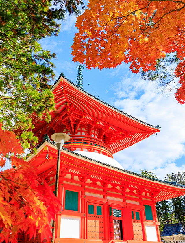 【Sacred Journey through Koyasan & Kumano Kodo】Pilgrimage Trails of Kii Mountains