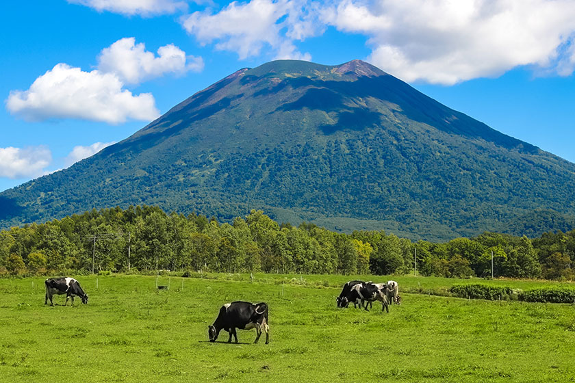 Stay in Niseko<br>
(no major transfers)<br>
Tailored Activities Day