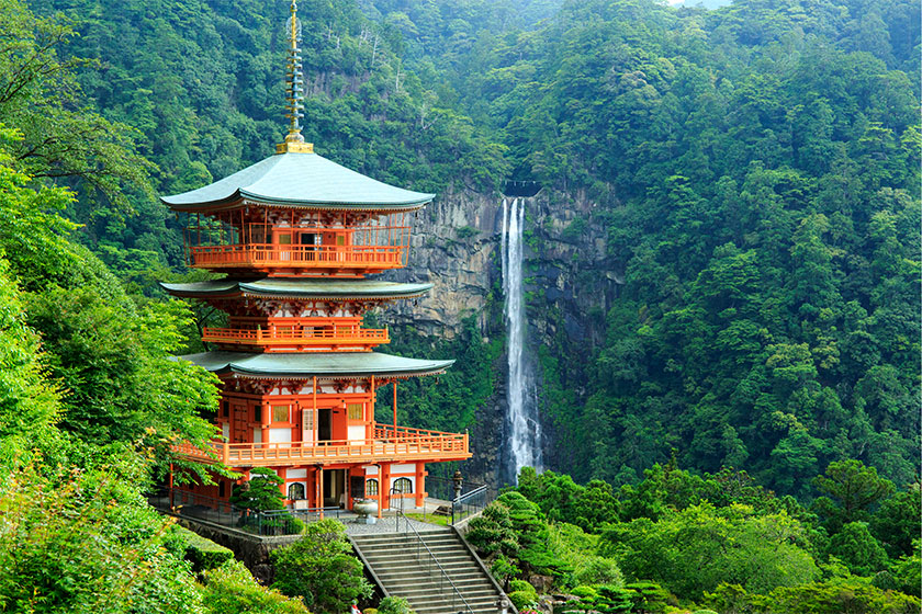 Kumano Hongu →<br>
Nachi Taisha<br>
(approx. 1.5 hrs);<br>
Daimon-zaka walk<br>
(2.5 km / 1 hr);<br>
Nachi Water Fall →<br>
Shingu / Hayatama<br>
Taisha (approx. 1 hr);<br>
Shingu →<br>
Nachi-Katsuura<br>
(approx. 30 min)