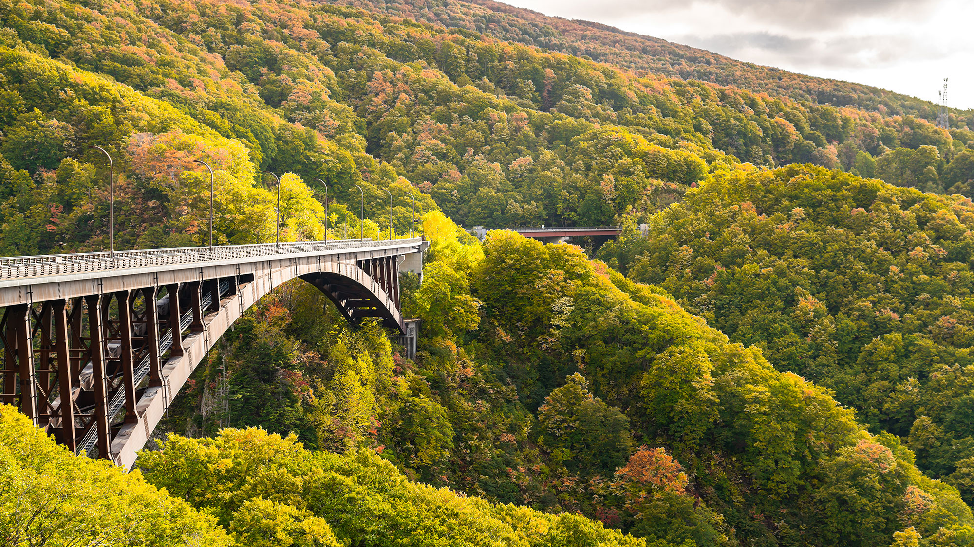 【Timeless Tohoku】Where Japan’s Original Scenery Meets Autumn Splendor