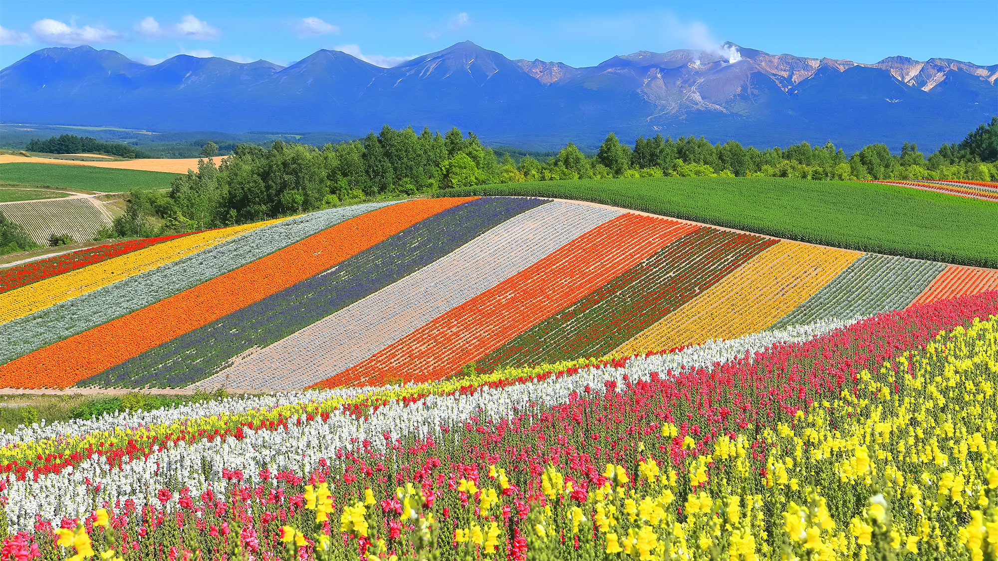 【Timeless Hokkaido】Savor Untouched Nature with All Your Senses（10 Days / 9 Nights）