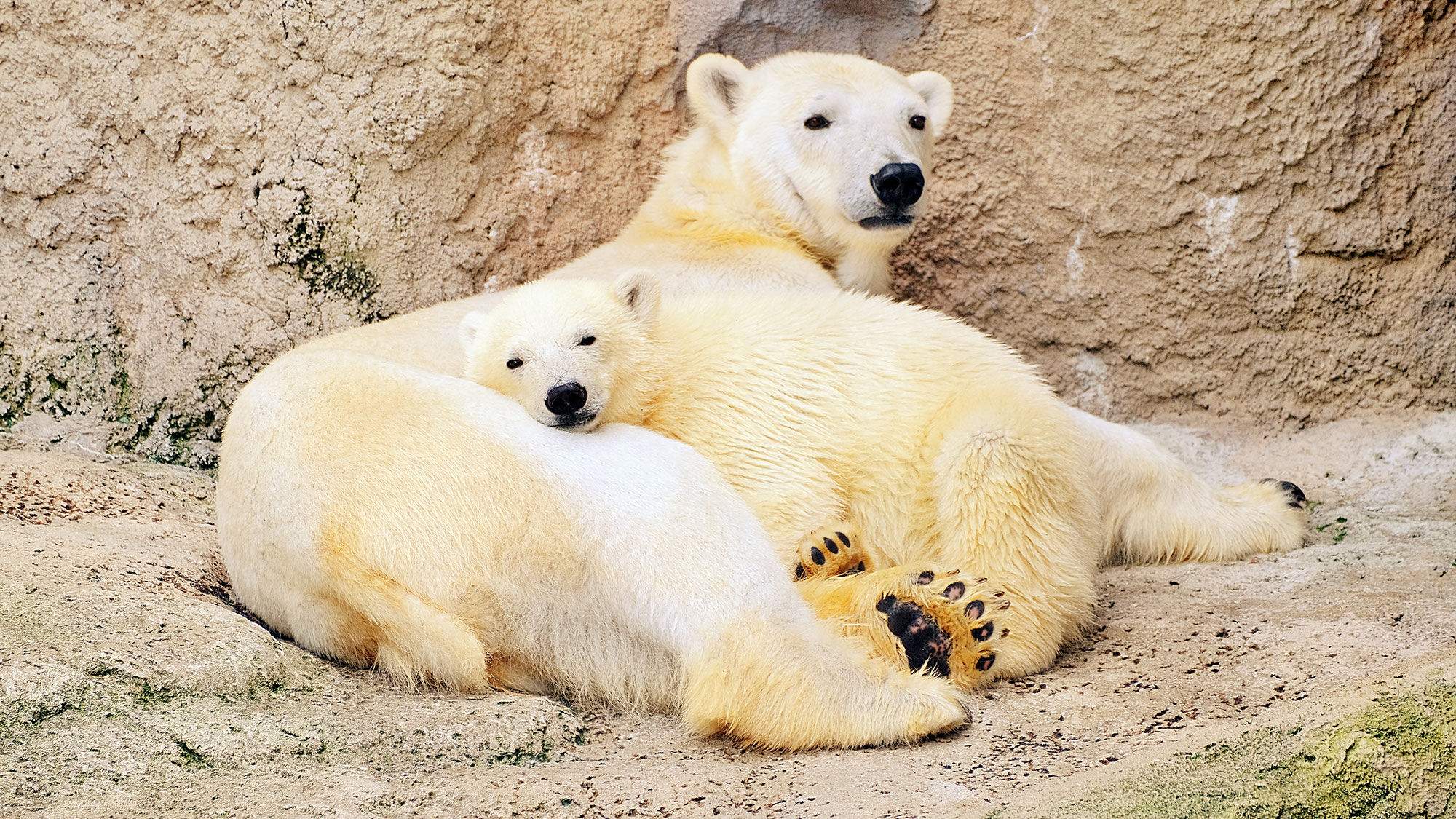 【Timeless Hokkaido】Savor Untouched Nature with All Your Senses（10 Days / 9 Nights）