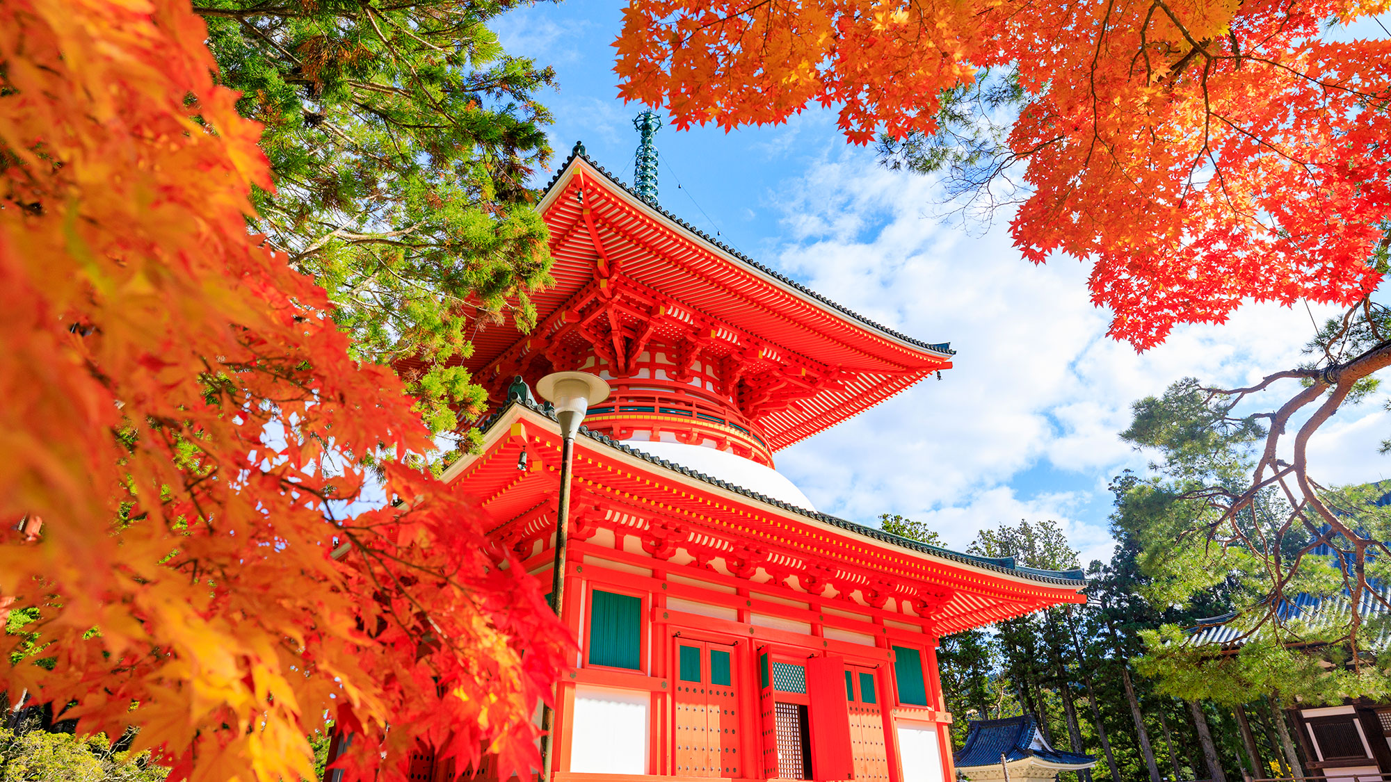 【Sacred Journey through Koyasan & Kumano Kodo】Pilgrimage Trails of Kii Mountains