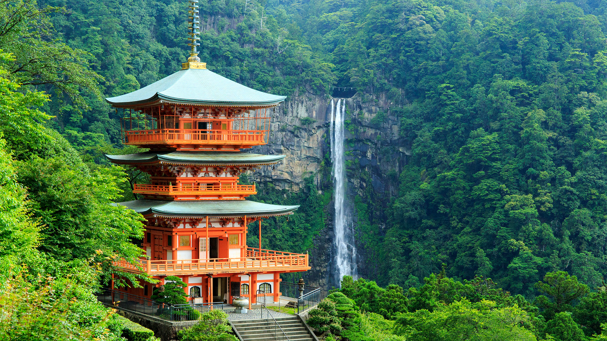 【Sacred Journey through Koyasan & Kumano Kodo】Pilgrimage Trails of Kii Mountains