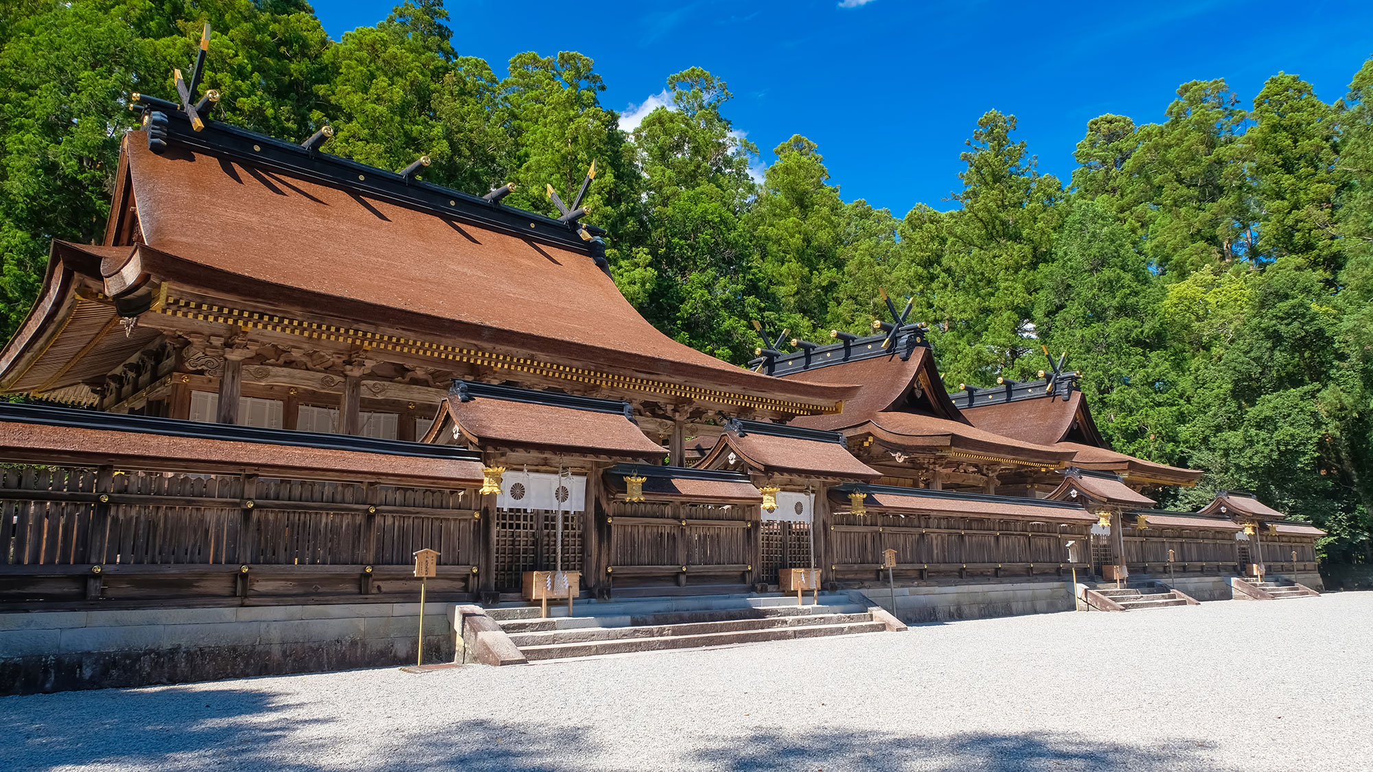 【Sacred Journey through Koyasan & Kumano Kodo】Pilgrimage Trails of Kii Mountains