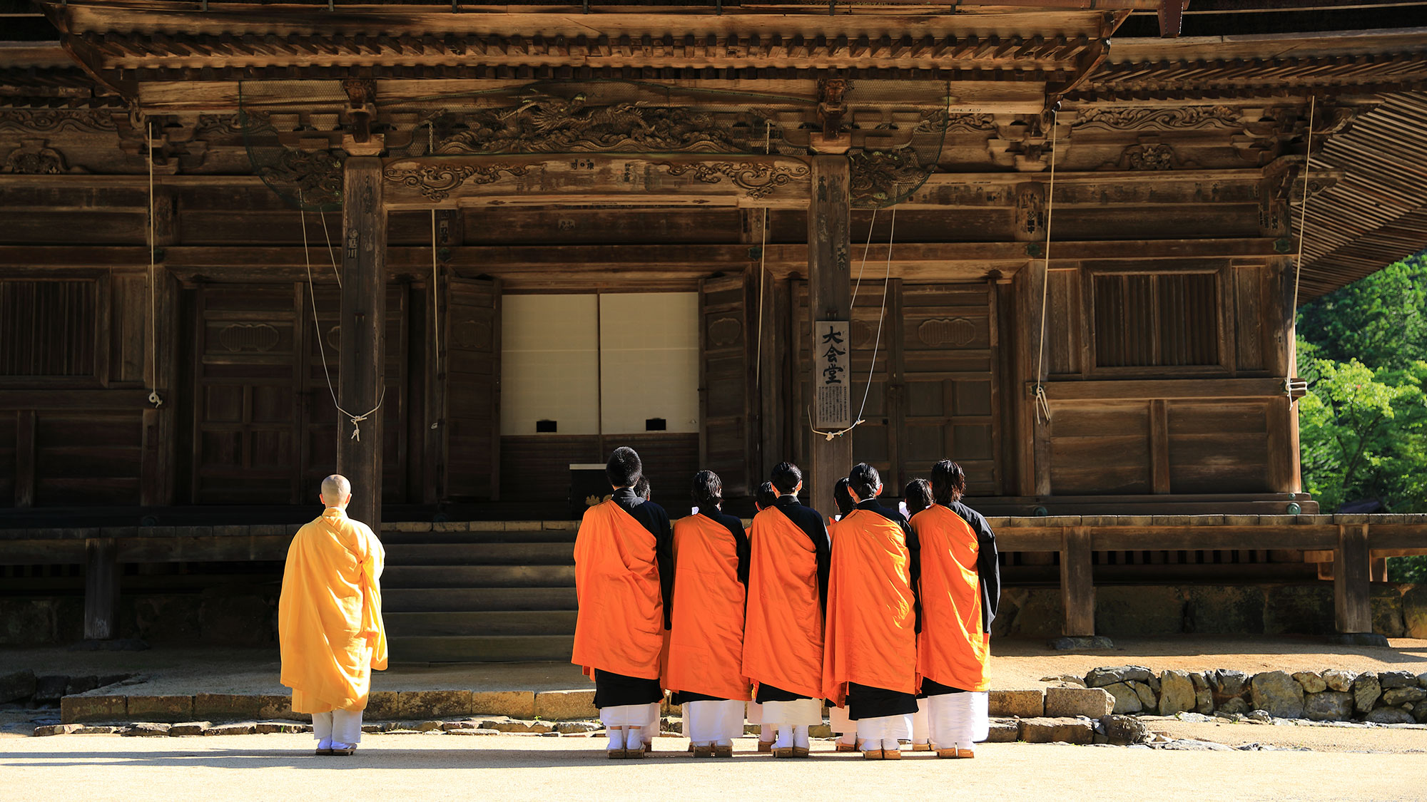 【Sacred Journey through Koyasan & Kumano Kodo】Pilgrimage Trails of Kii Mountains