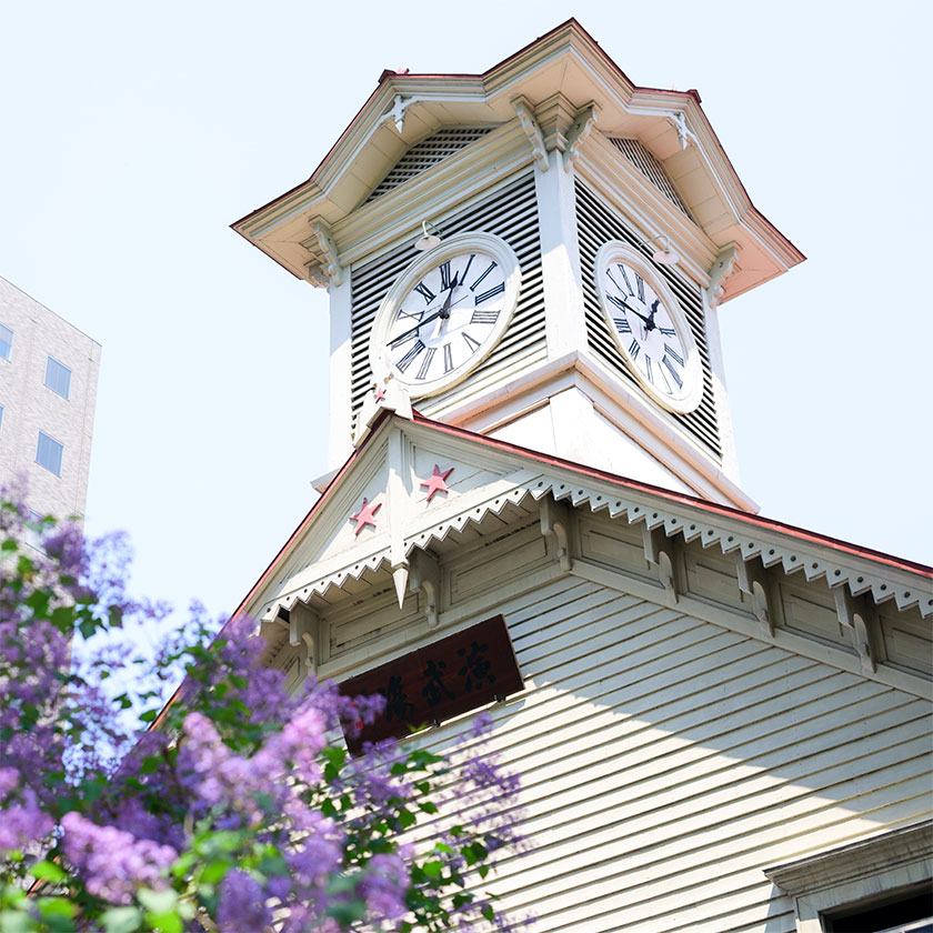 New Chitose Airport →<br>
Sapporo City(1h)<br>
by private car<br>
Local transfers between sight<br>
(10–20min each).