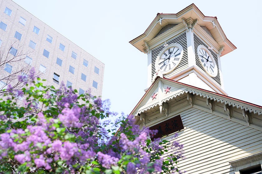 New Chitose Airport →<br>
Sapporo City(1h)<br>
by private car<br>
Local transfers between sight<br>
(10–20min each).