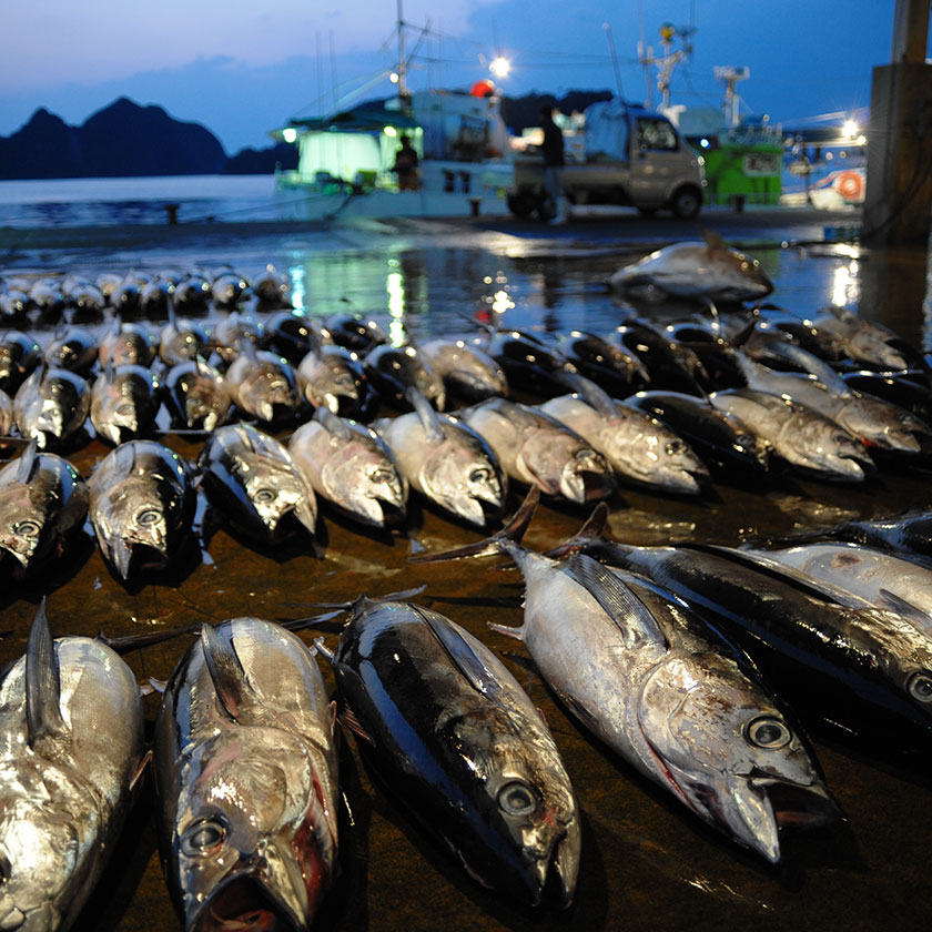 Nachi-Katsuura →<br>
Osaka (approx. 4.5 hrs)