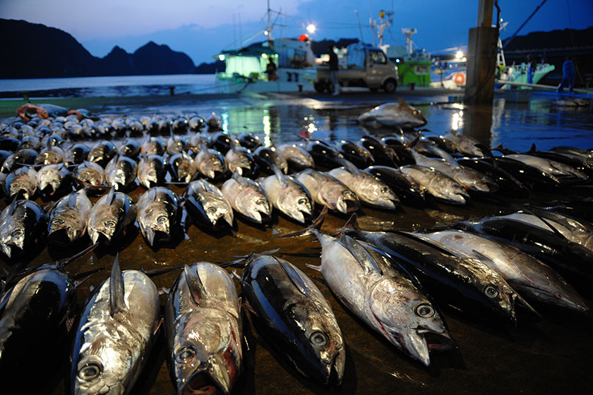 Nachi-Katsuura →<br>
Osaka (approx. 4.5 hrs)