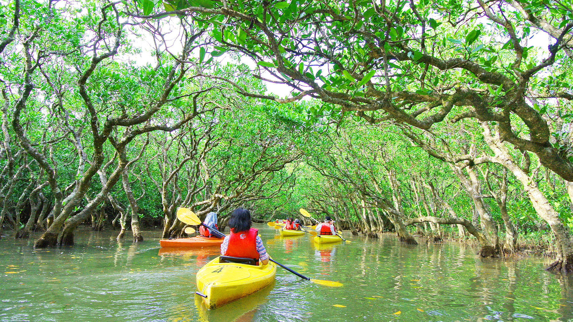 A Cultural & Nature Retreat in Southern Japan