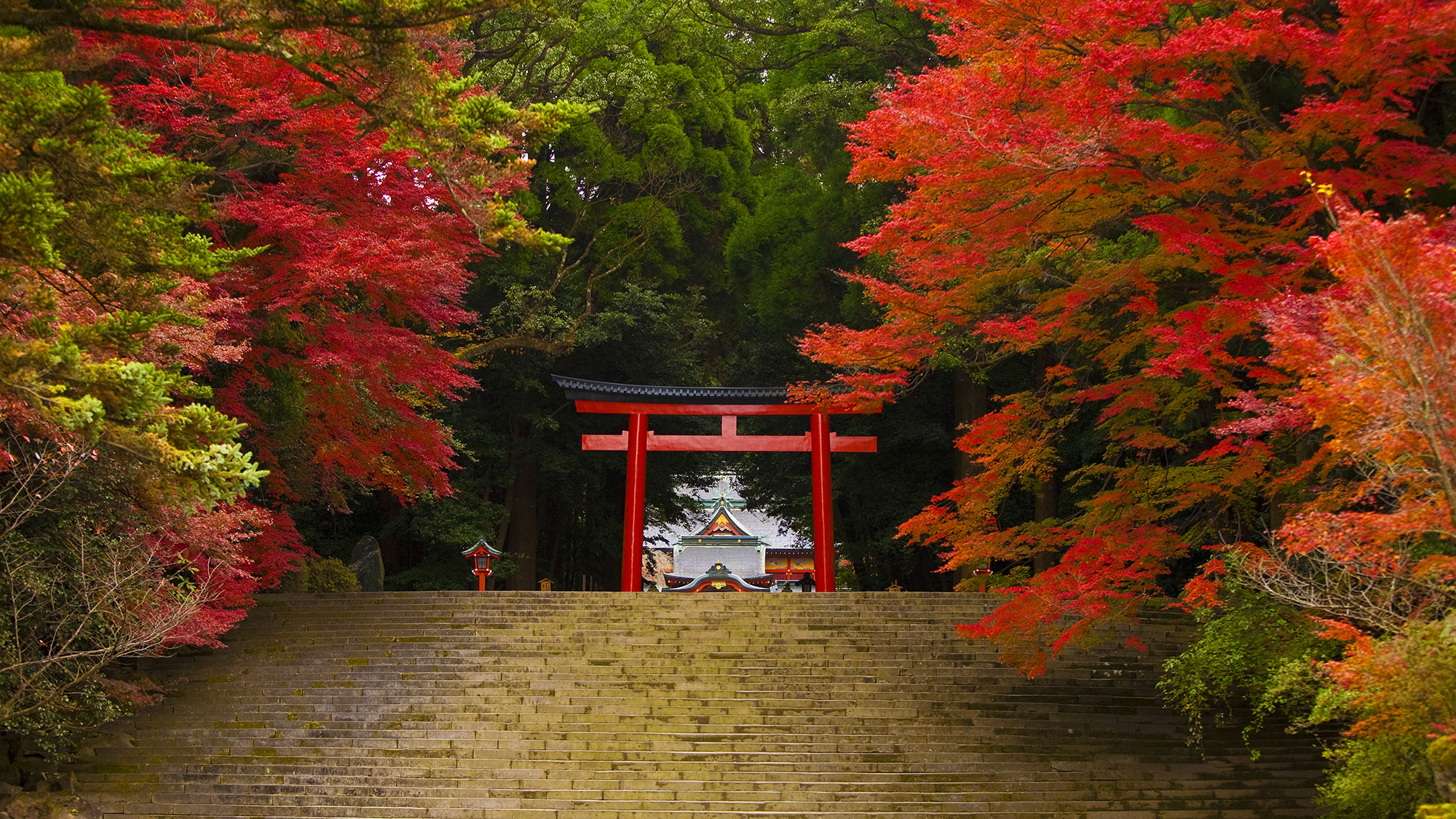 Traverse Kyushu from north to south Plan – 7 Days