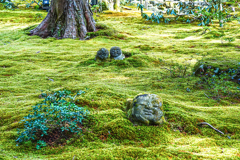 Kyoto →<br>
Ohara (40min)<br>
Ohara →<br>
Omi Hachiman(1h)<br>
Omi Hachiman →<br>
Nagahama (1h)