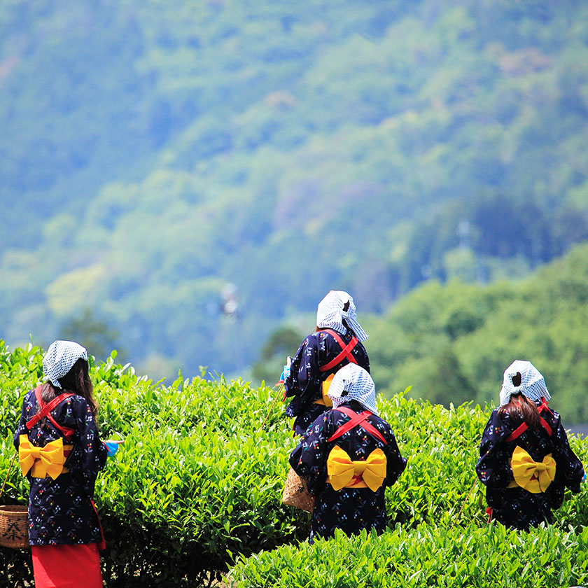 Fukuoka Airport –<br>
Yame