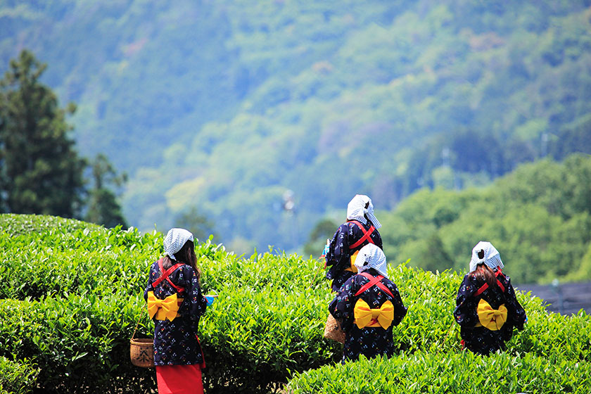 Fukuoka Airport –<br>
Yame