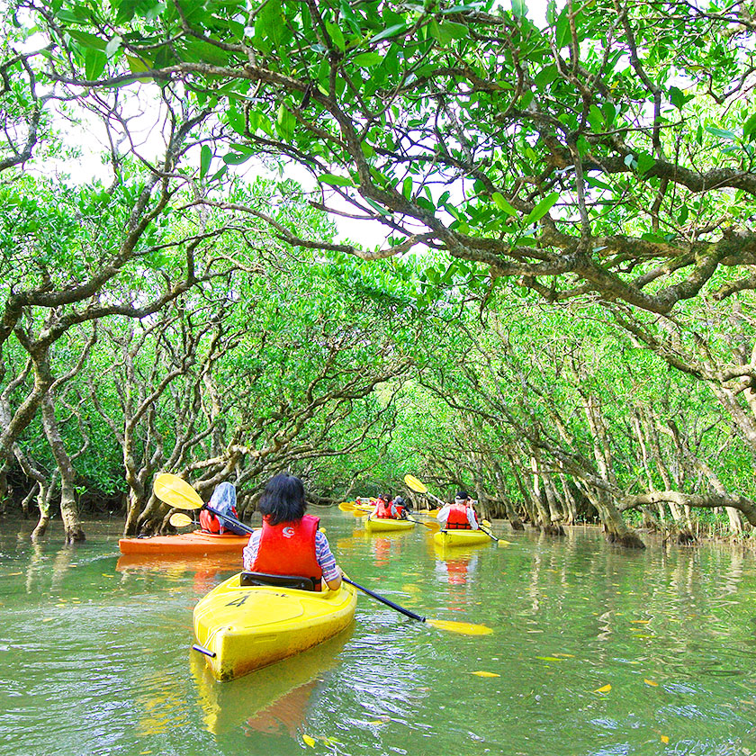 Northern Okinawa (Yanbaru)