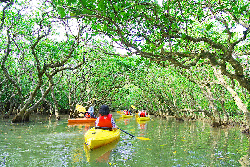 Northern Okinawa (Yanbaru)