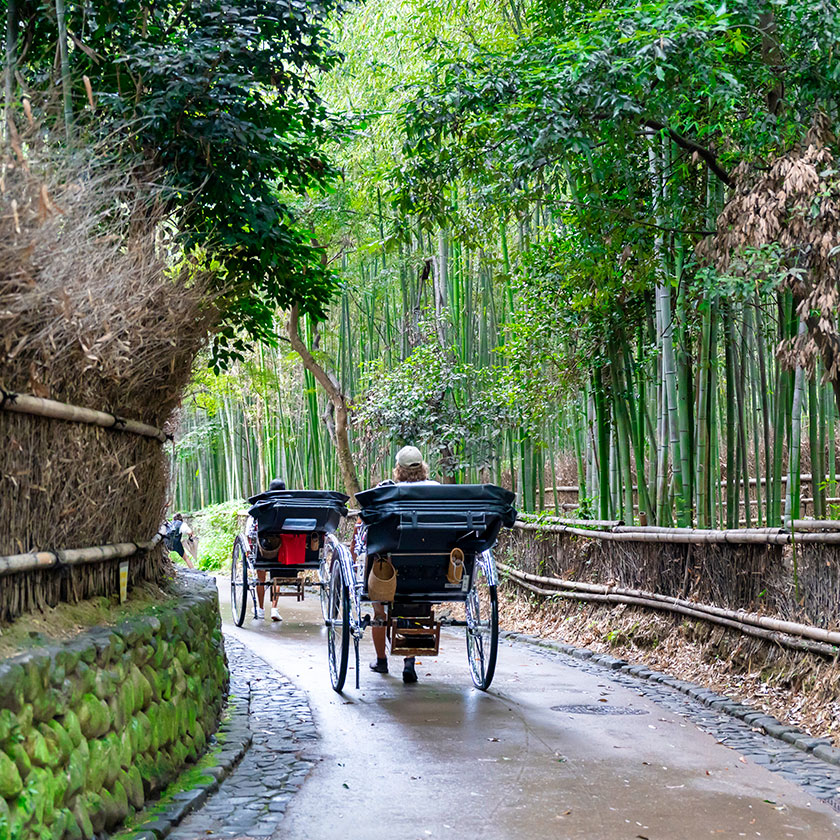 Kyoto Full-Day<br>
Sightseeing