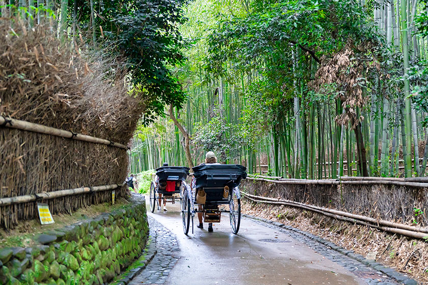 Kyoto Full-Day<br>
Sightseeing