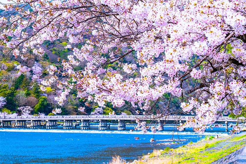 Kyoto Full-Day Sightseeing