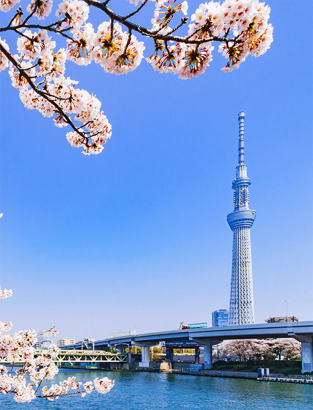 Springtime Sakura Journey – Discover Japan Beyond the Cities (13 Days)