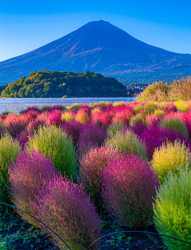 【A Fun & Cultural Adventure】9 days-Japan Discovery for Families