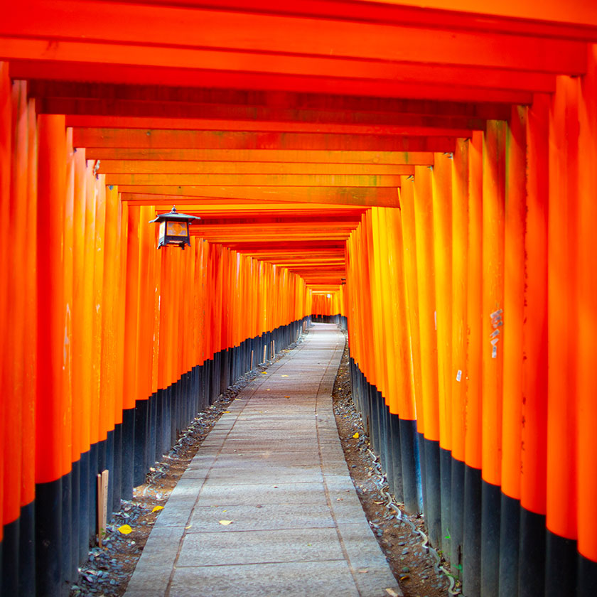 Kyoto Full-Day Sightseeing