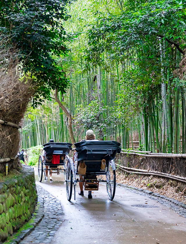 【Perfect for First-Time Visitors】8-Day Golden Route of Japan