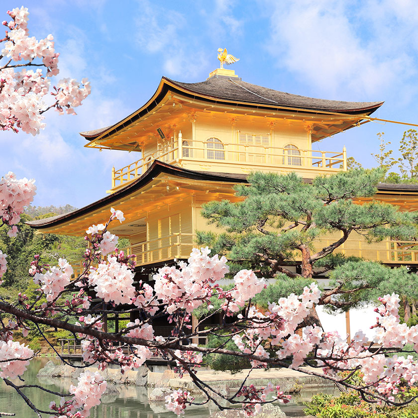 Kyoto Full-Day<br>
Sightseeing