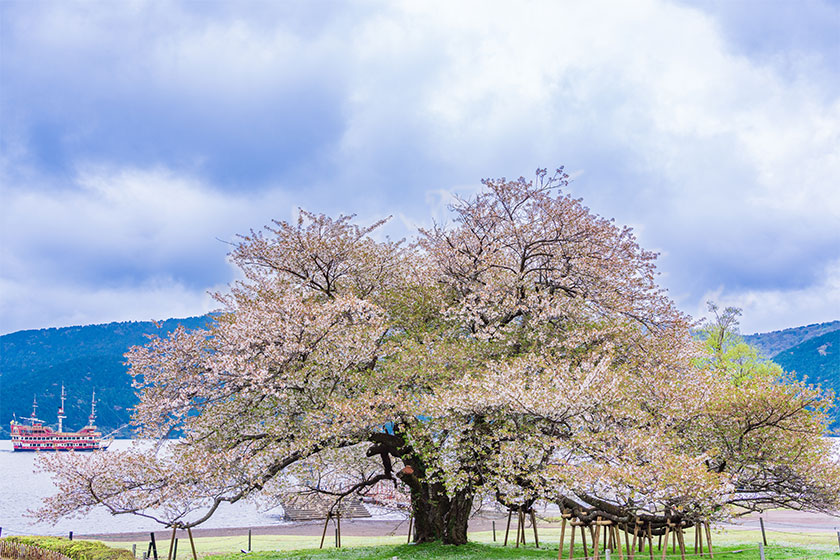 Excursion to Hakone