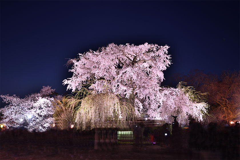 Kanazawa →<br>
Kyoto